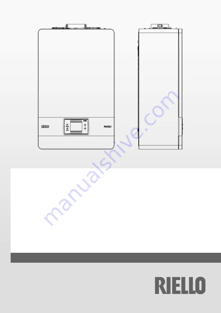Riello 20187643 Скачать руководство пользователя страница 1