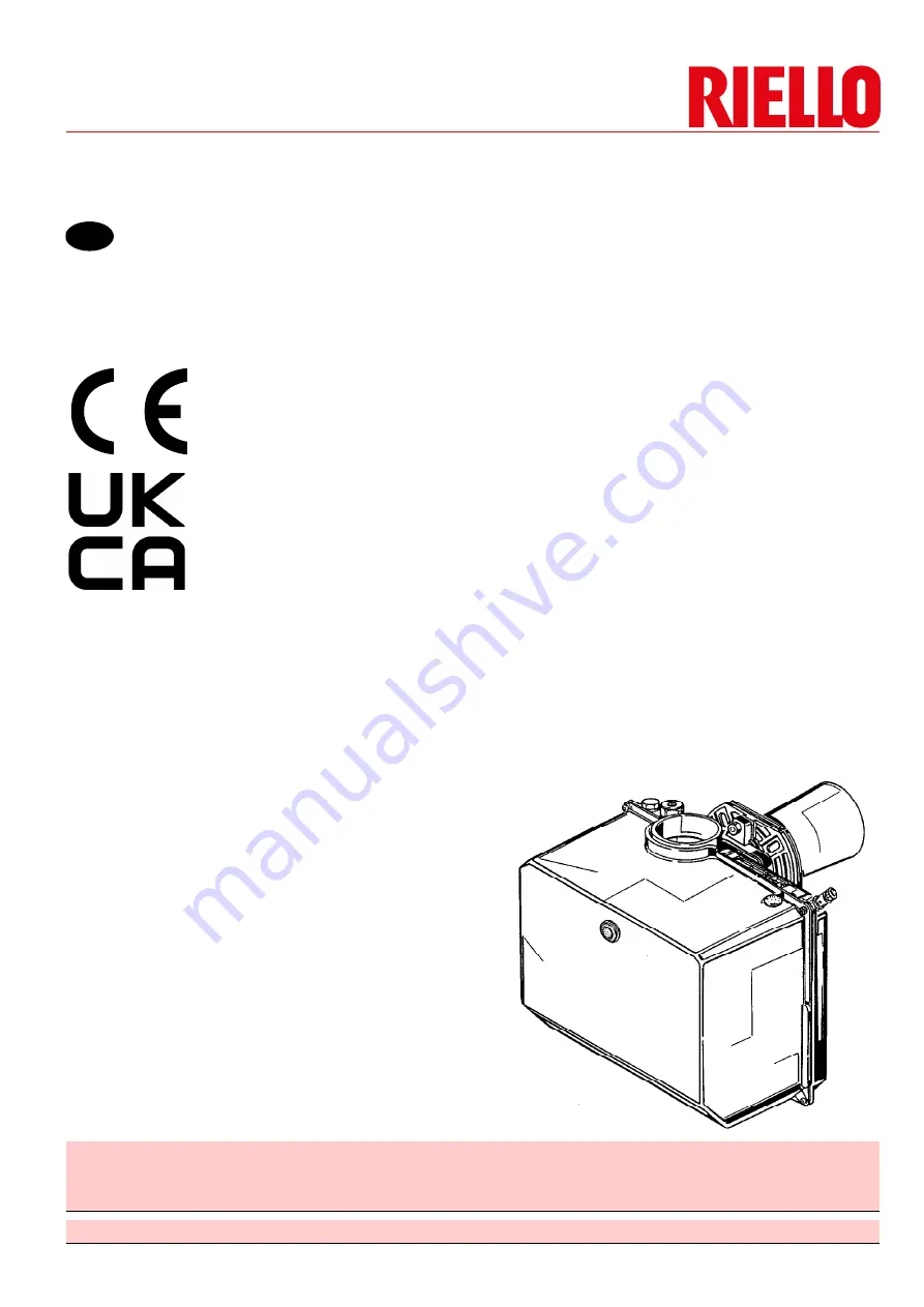 Riello 3749251 Installation, Use And Maintenance Instructions Download Page 1