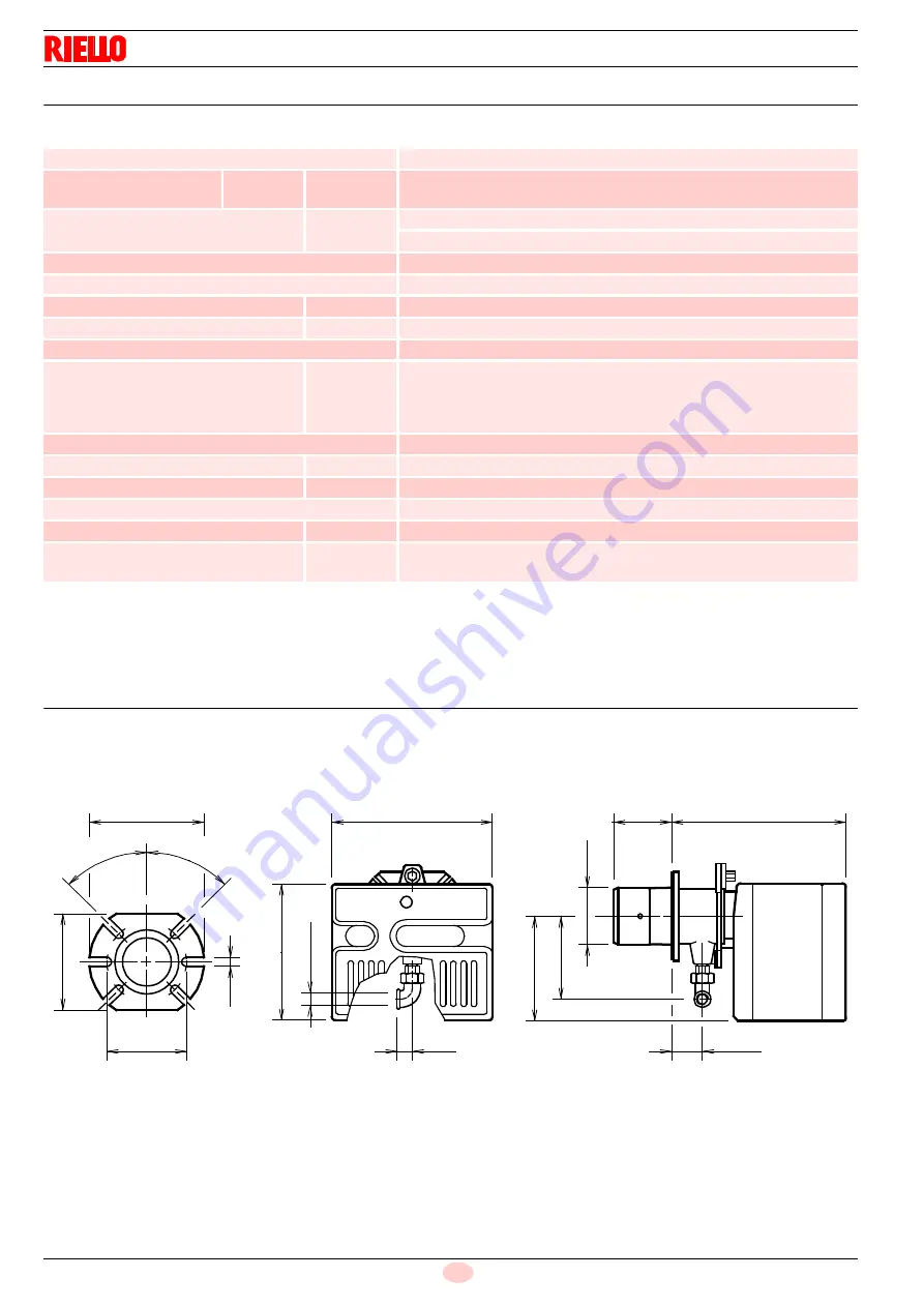 Riello 3755219 Installation, Use And Maintenance Instructions Download Page 10