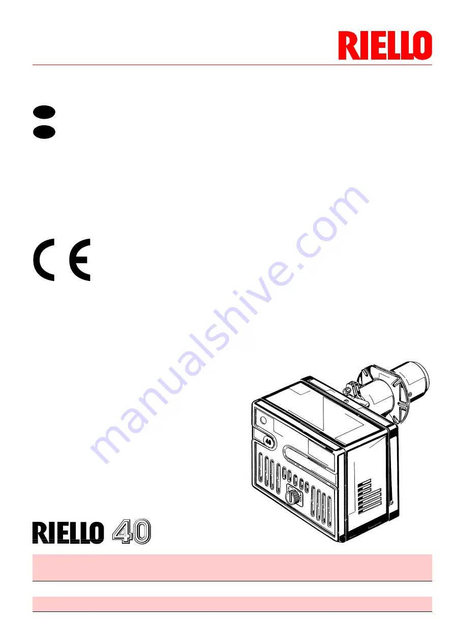 Riello 40 D8 Скачать руководство пользователя страница 1