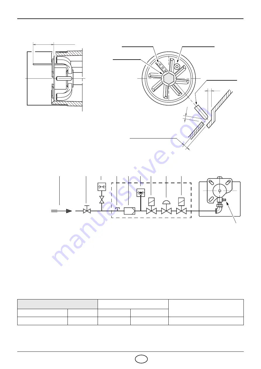 Riello 40 FS20 Скачать руководство пользователя страница 6