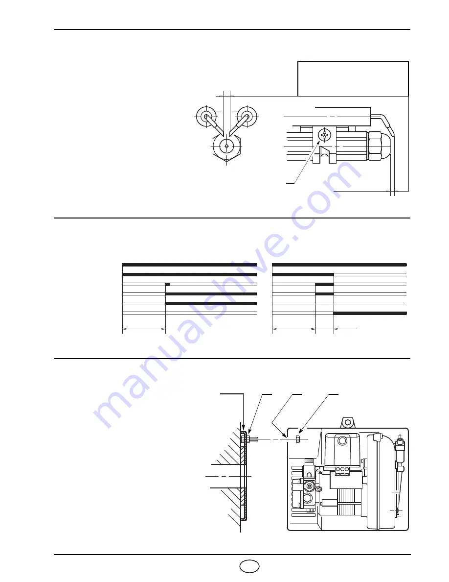 Riello G3 431T1 Installation, Use And Maintenance Instructions Download Page 17