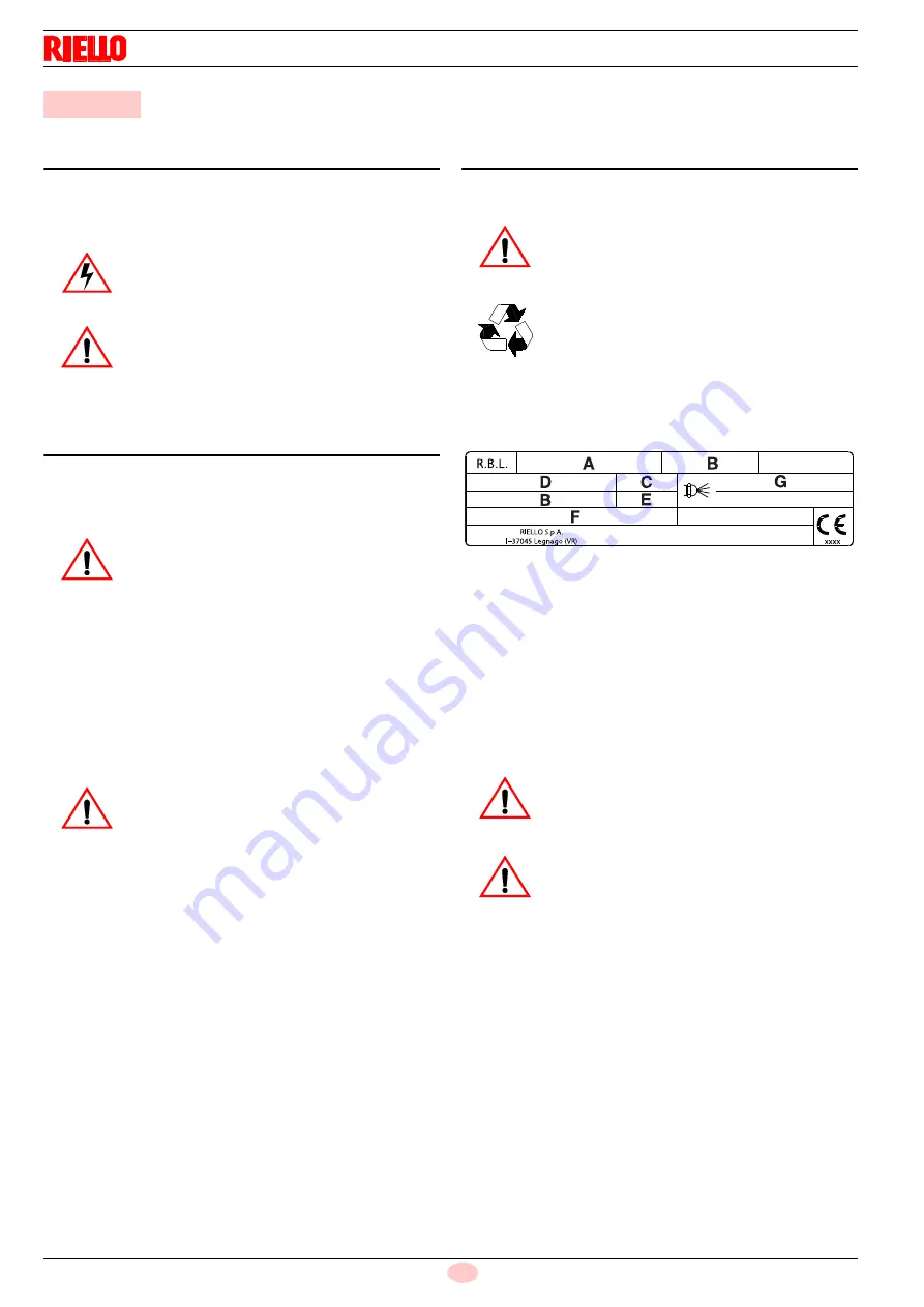 Riello G30 MRBLU BF Скачать руководство пользователя страница 12