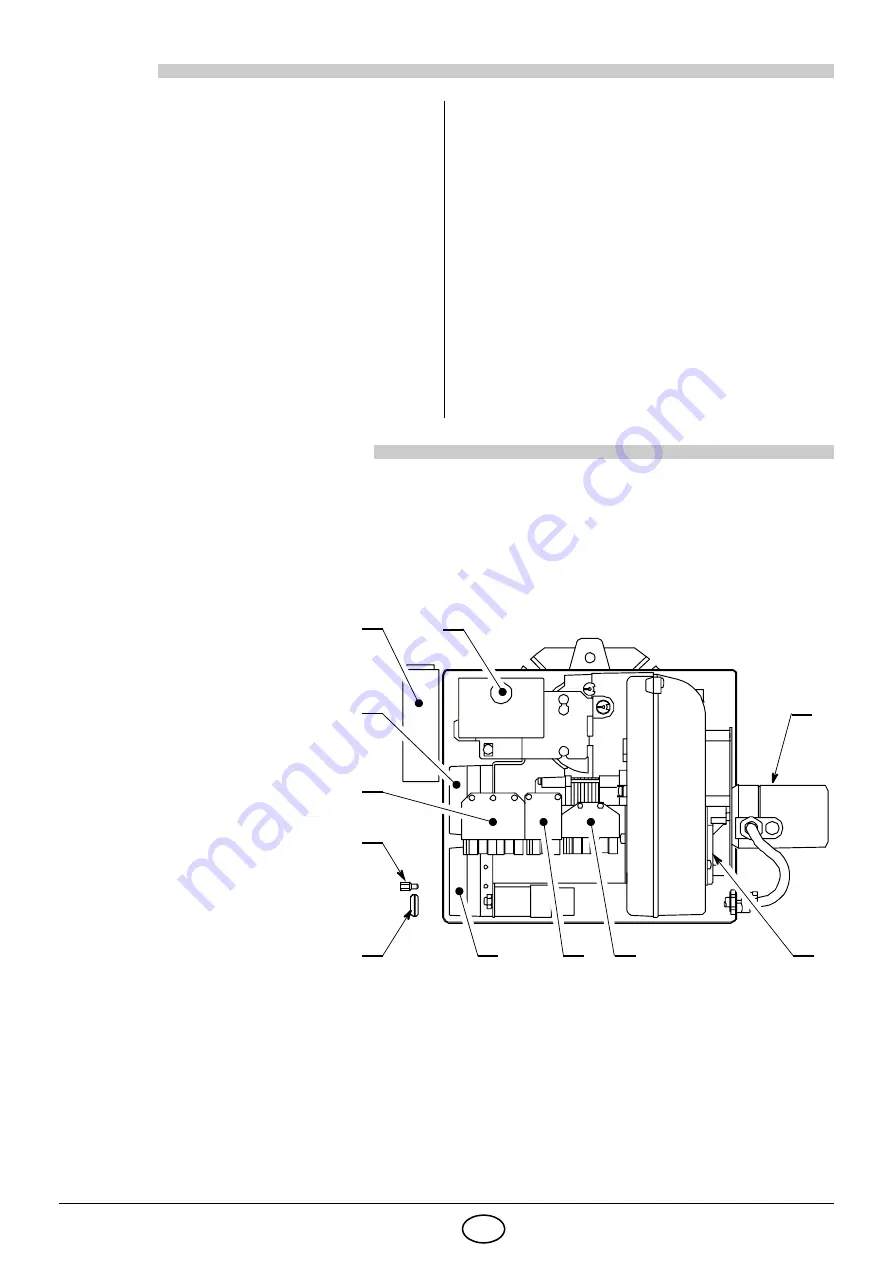 Riello GS20/M Installation, Use And Maintenance Instructions Download Page 3