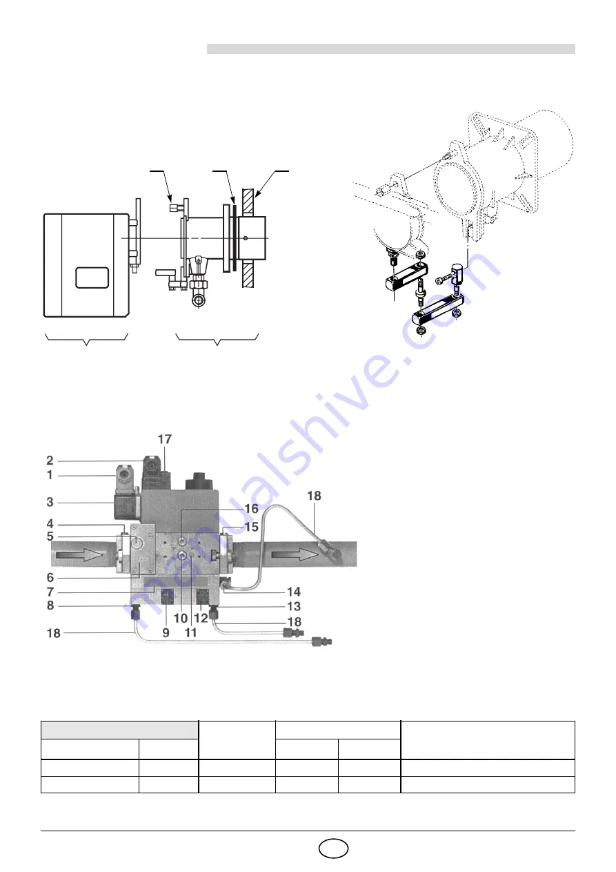 Riello GS20/M Скачать руководство пользователя страница 43