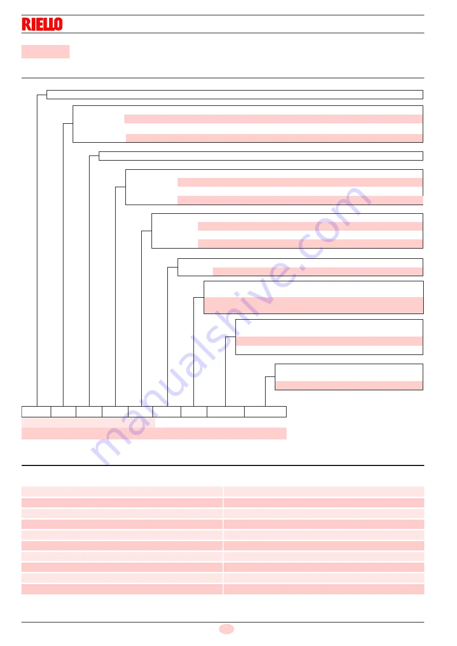 Riello RS 160/M BLU Instruction Manual Download Page 10