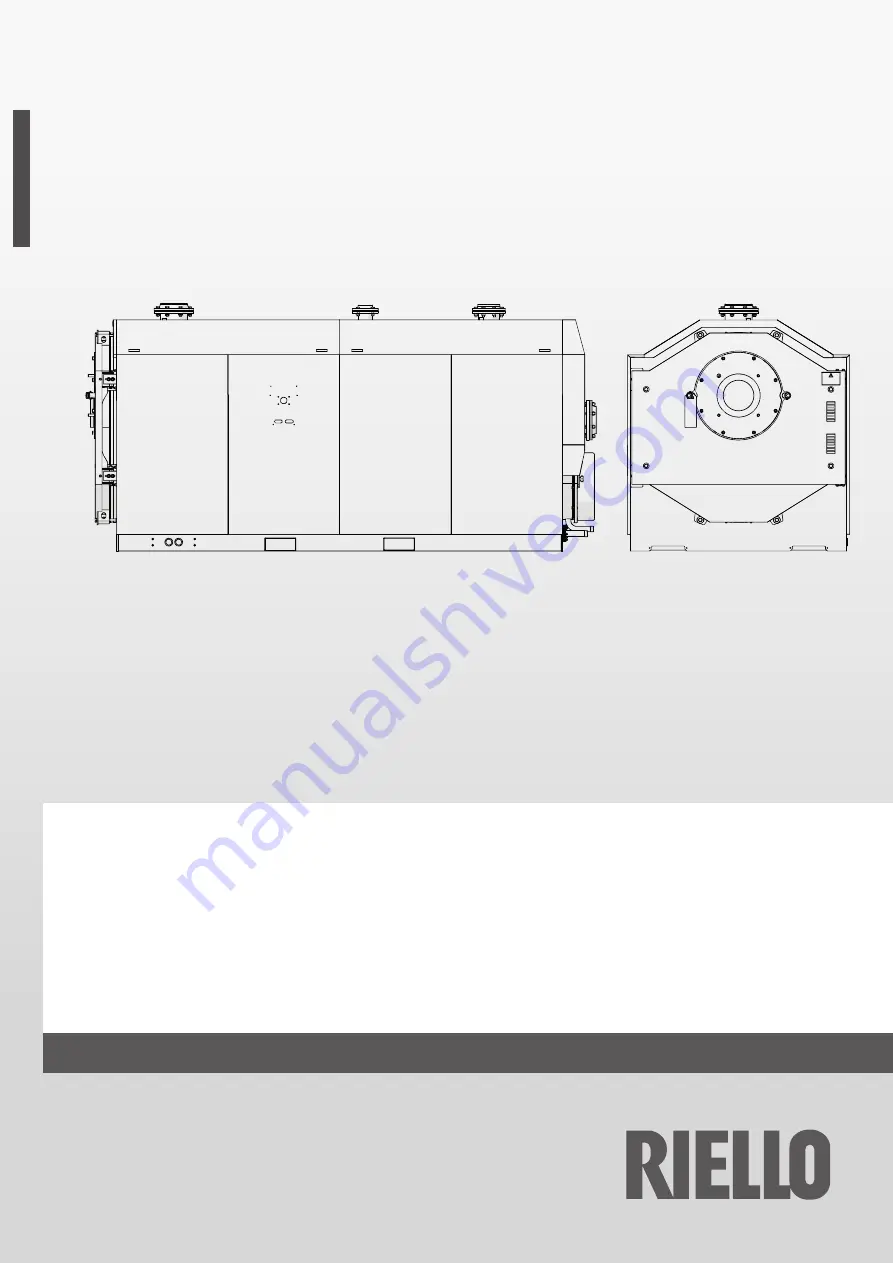 Riello TAU 2100 N Скачать руководство пользователя страница 1