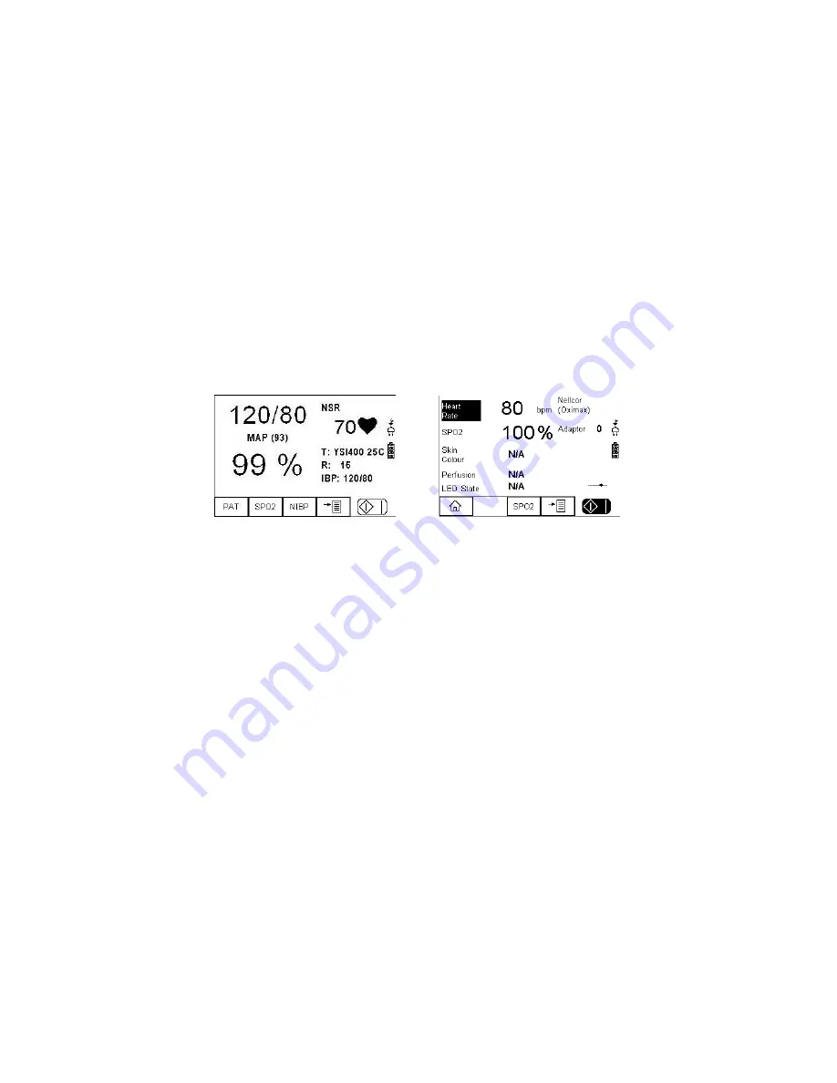 Rigel SP-SIM Instruction Manual Download Page 13