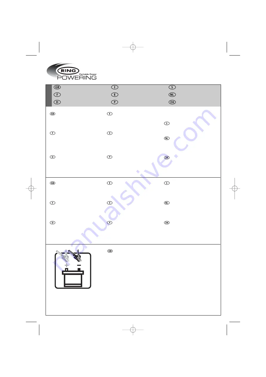 ring POWERING BasicCharge4 Series Скачать руководство пользователя страница 2