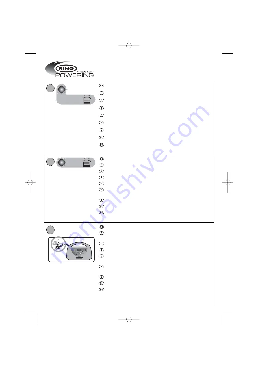 ring POWERING BasicCharge4 Series Скачать руководство пользователя страница 6