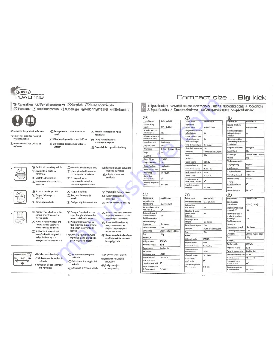 ring RPP210 Скачать руководство пользователя страница 6