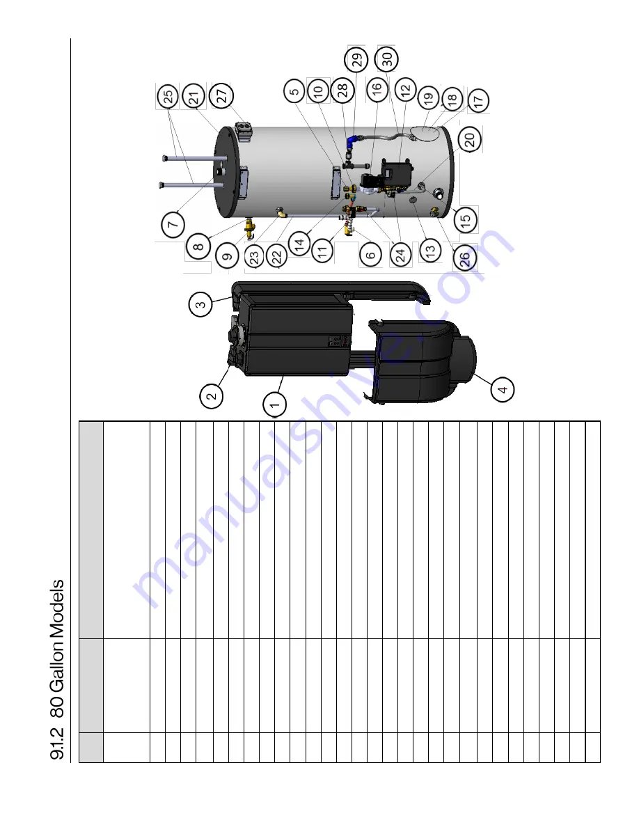 Rinnai Demand Duo CHS13080HiN Скачать руководство пользователя страница 52