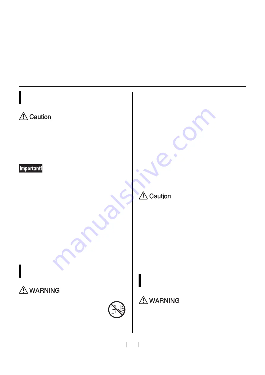 Riso GOCCOPRO 100 User Manual Download Page 10