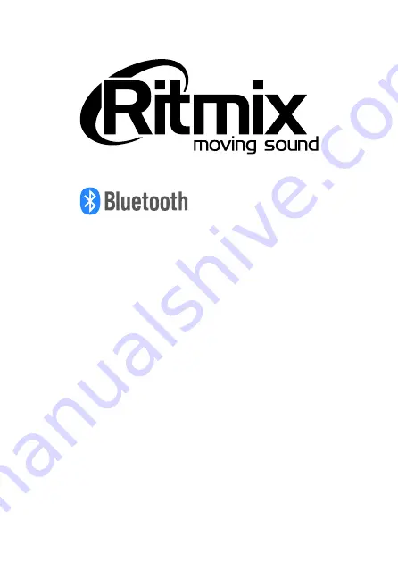 Ritmix SP-2013BT Скачать руководство пользователя страница 1