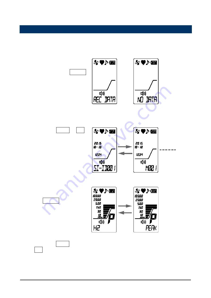 RKI Instruments SP-220 TYPEH2 Скачать руководство пользователя страница 28