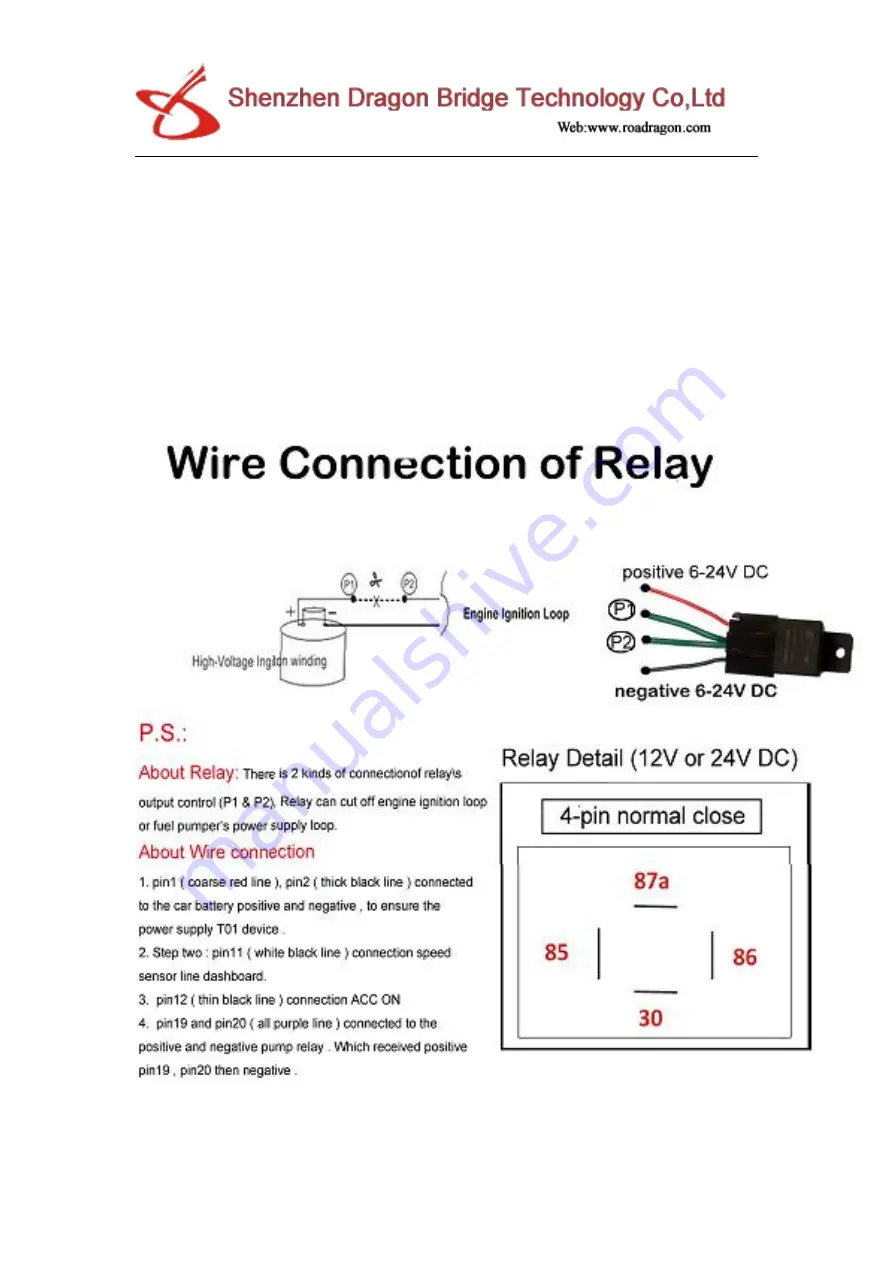 Roadragon G-V803 User Manual Download Page 20