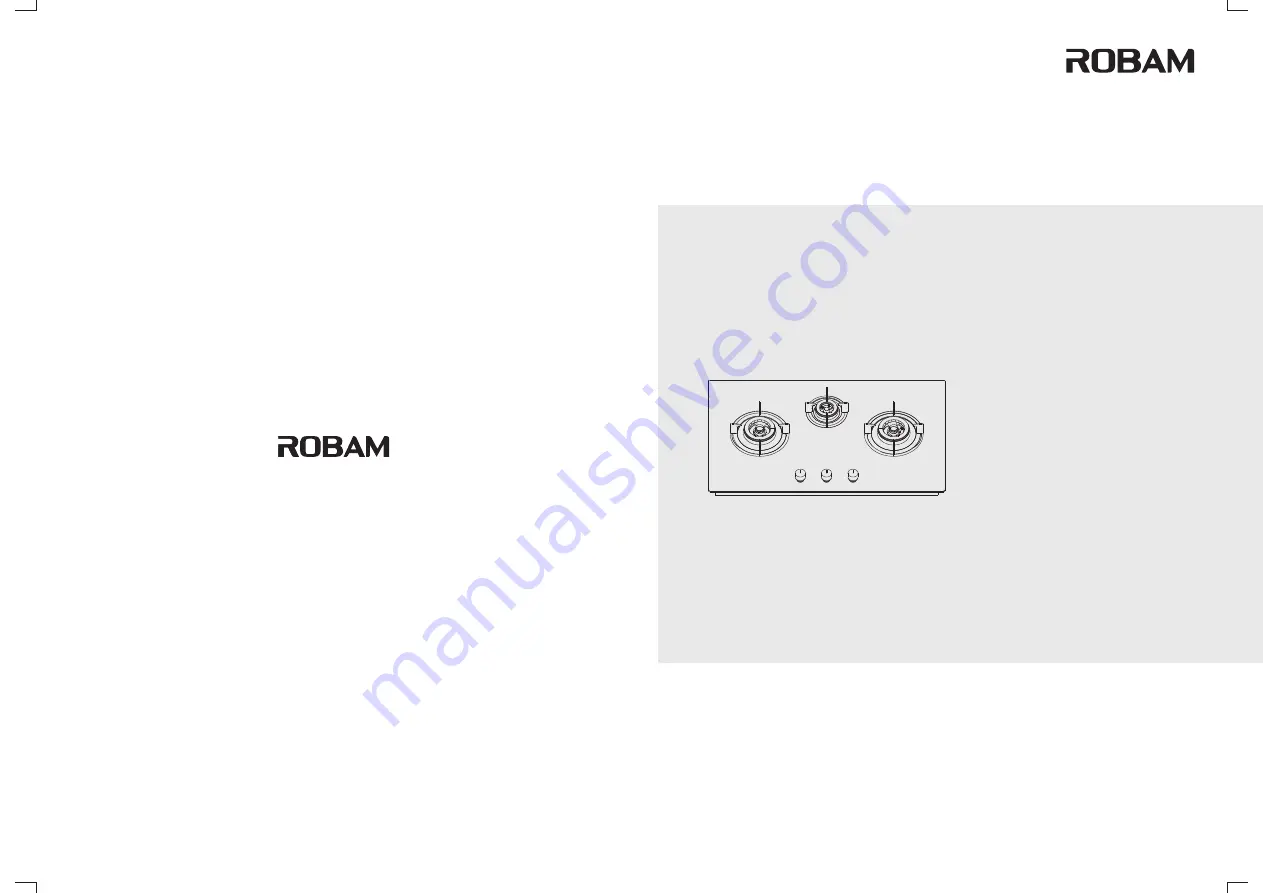 Robam B396 Series Operation Manual Download Page 1