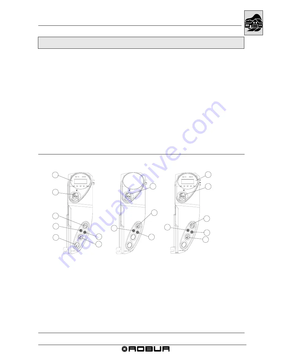 Robur Calorio Series Installation, Use And Maintenance Manual Download Page 14