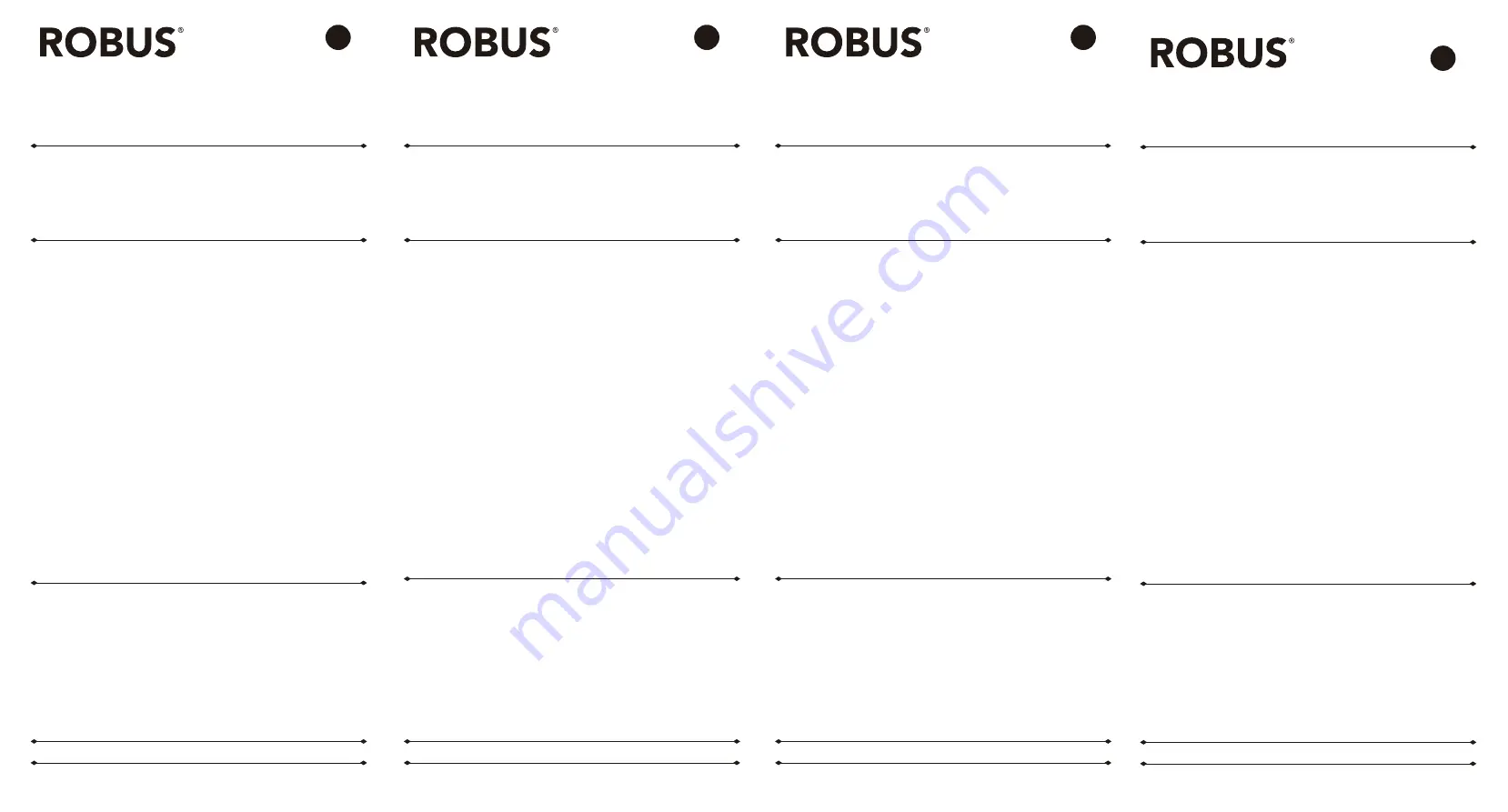 Robus RVA96226730 Quick Manual Download Page 1