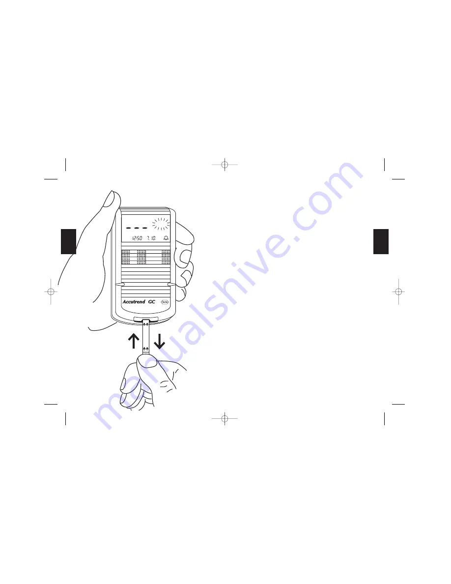 Roche Accutrend GC User Manual Download Page 15