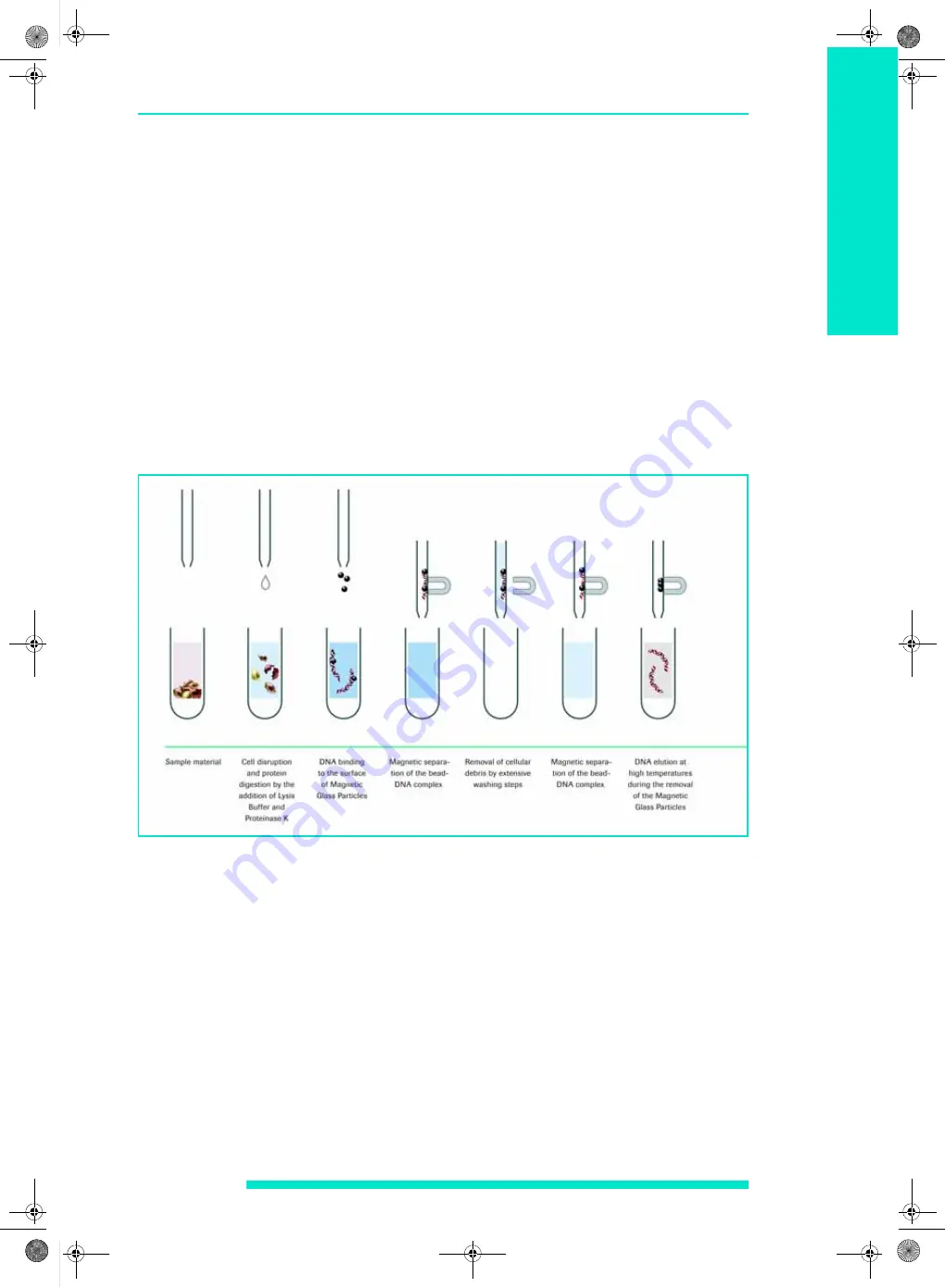 Roche MagNA Pure Compact Instrument Скачать руководство пользователя страница 57