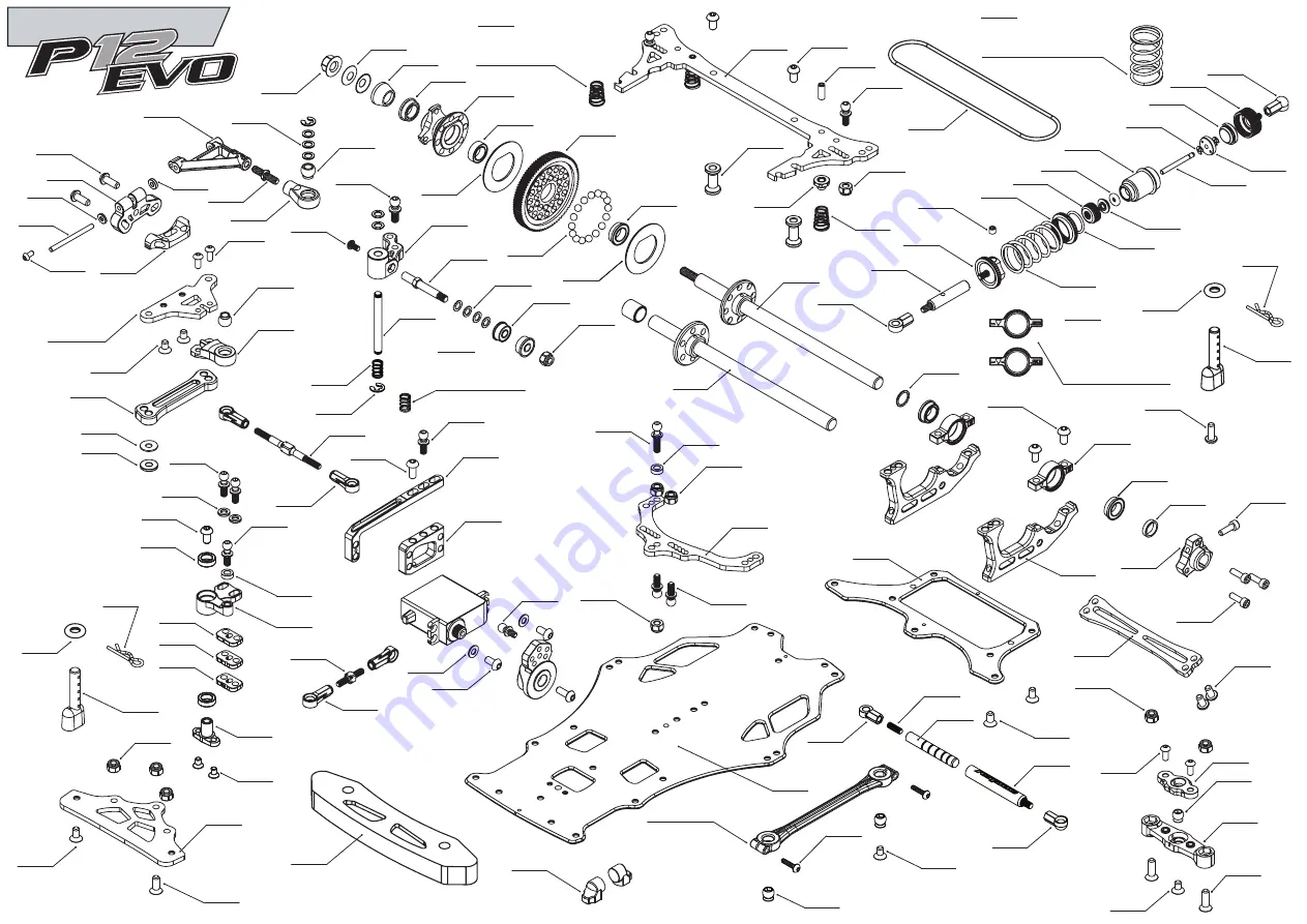 Roche Rapide P12 EVO Instruction Manual Download Page 16