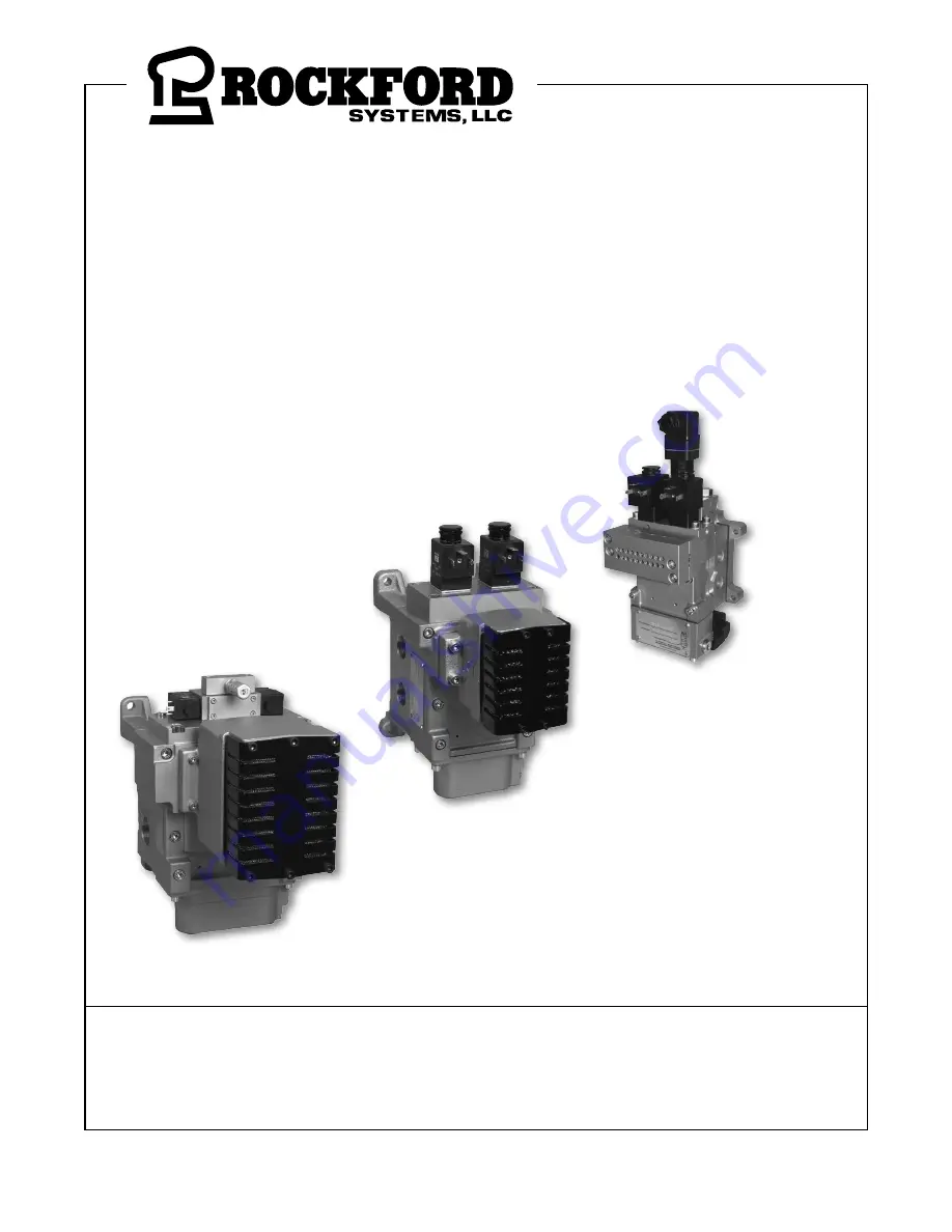 Rockford Systems DM2 D Series Скачать руководство пользователя страница 1