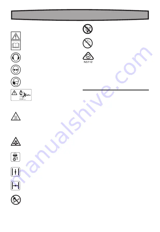 Rockwell ShopSeries RS8137 Скачать руководство пользователя страница 10