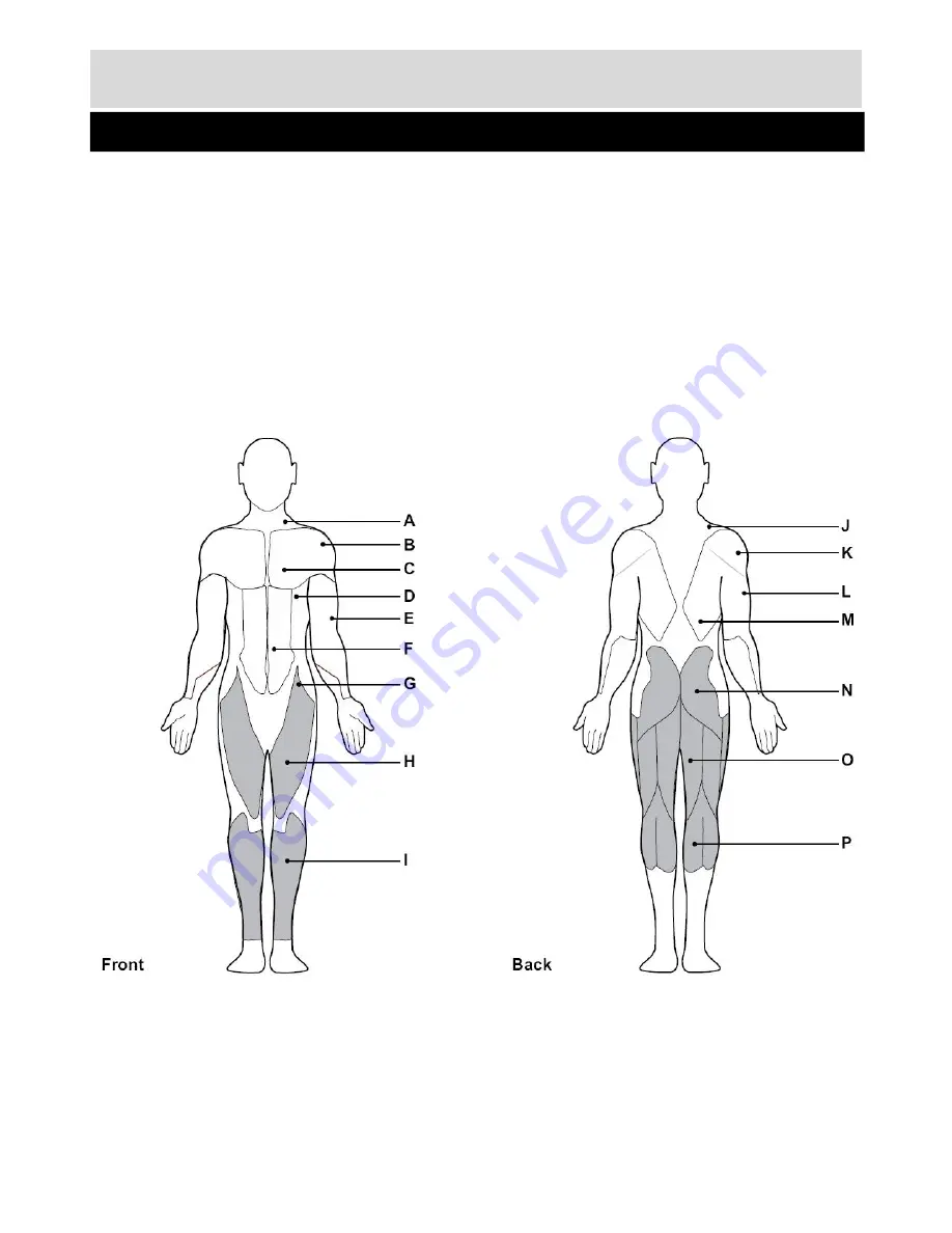 Rogerblack Easy Fold Treadmill Assembly & User Instructions Download Page 12