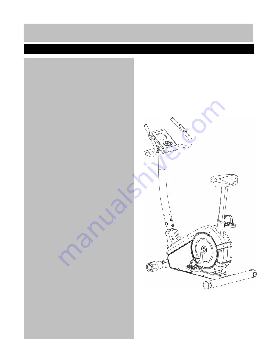 Rogerblack Gold Magnetic Bike Assembly & User Instructions Download Page 2