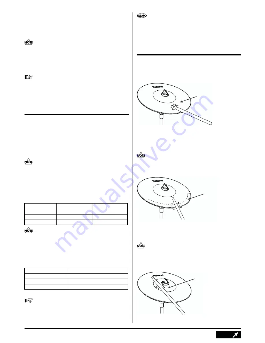 Roland CY-12R/C Скачать руководство пользователя страница 6