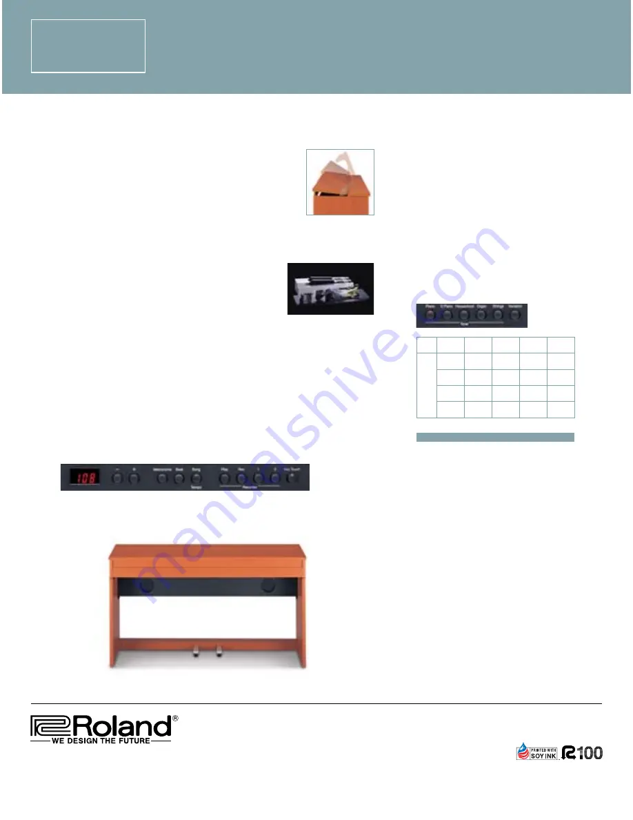 Roland DP-900 Specifications Download Page 2