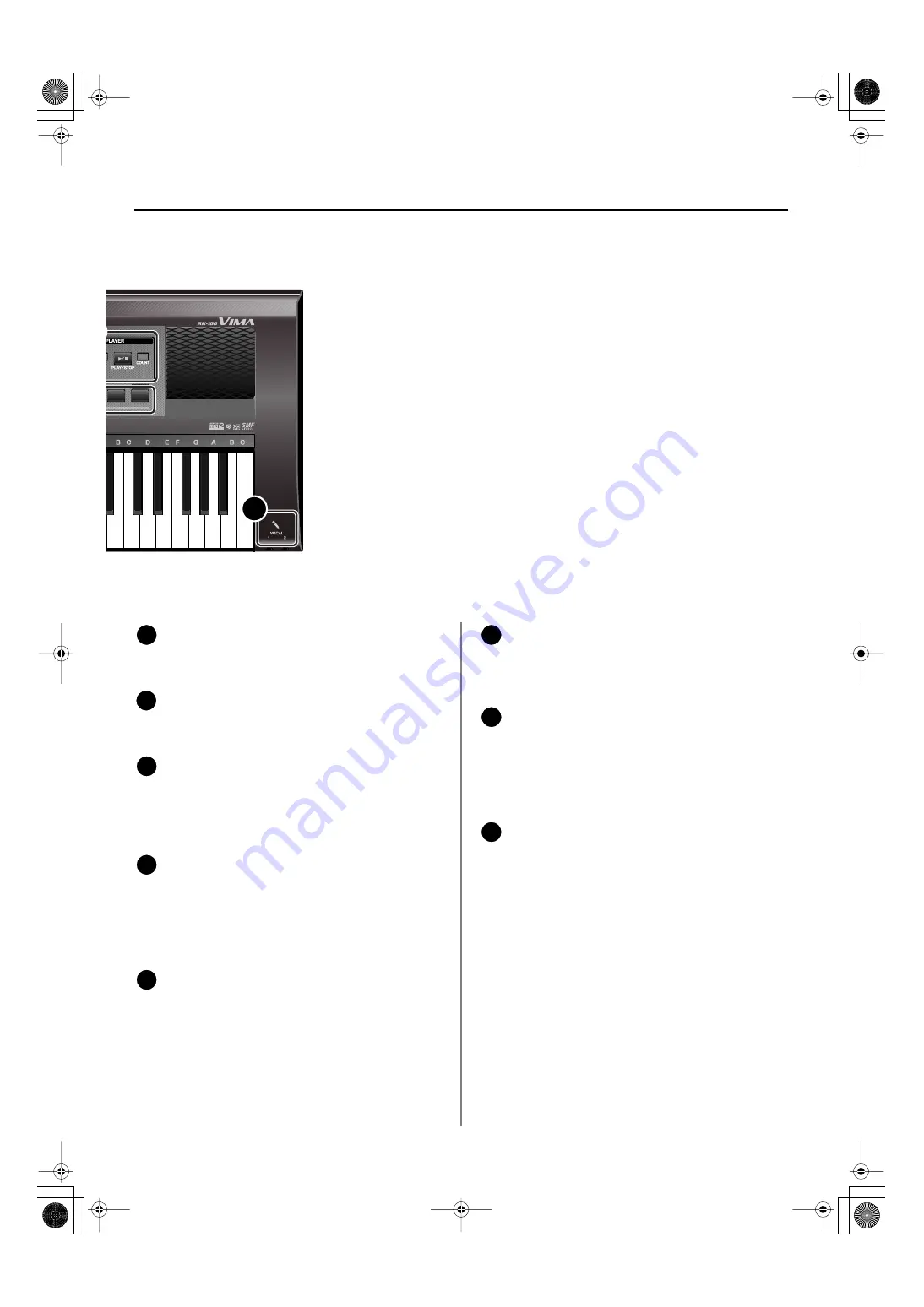 Roland VIMA RK-100 Скачать руководство пользователя страница 11