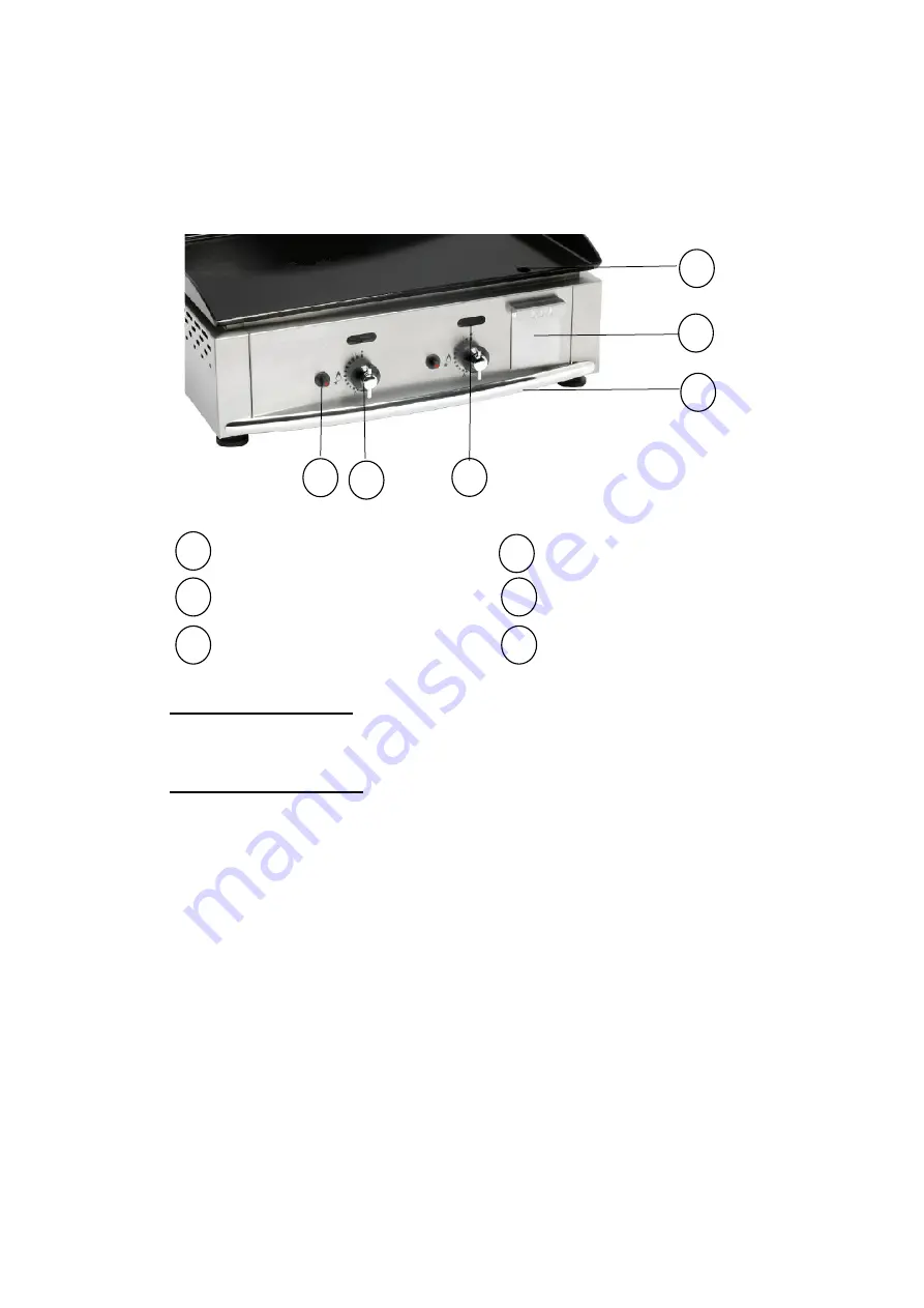 Roller Grill PL 400 G Instructions For Use And Installation Download Page 14