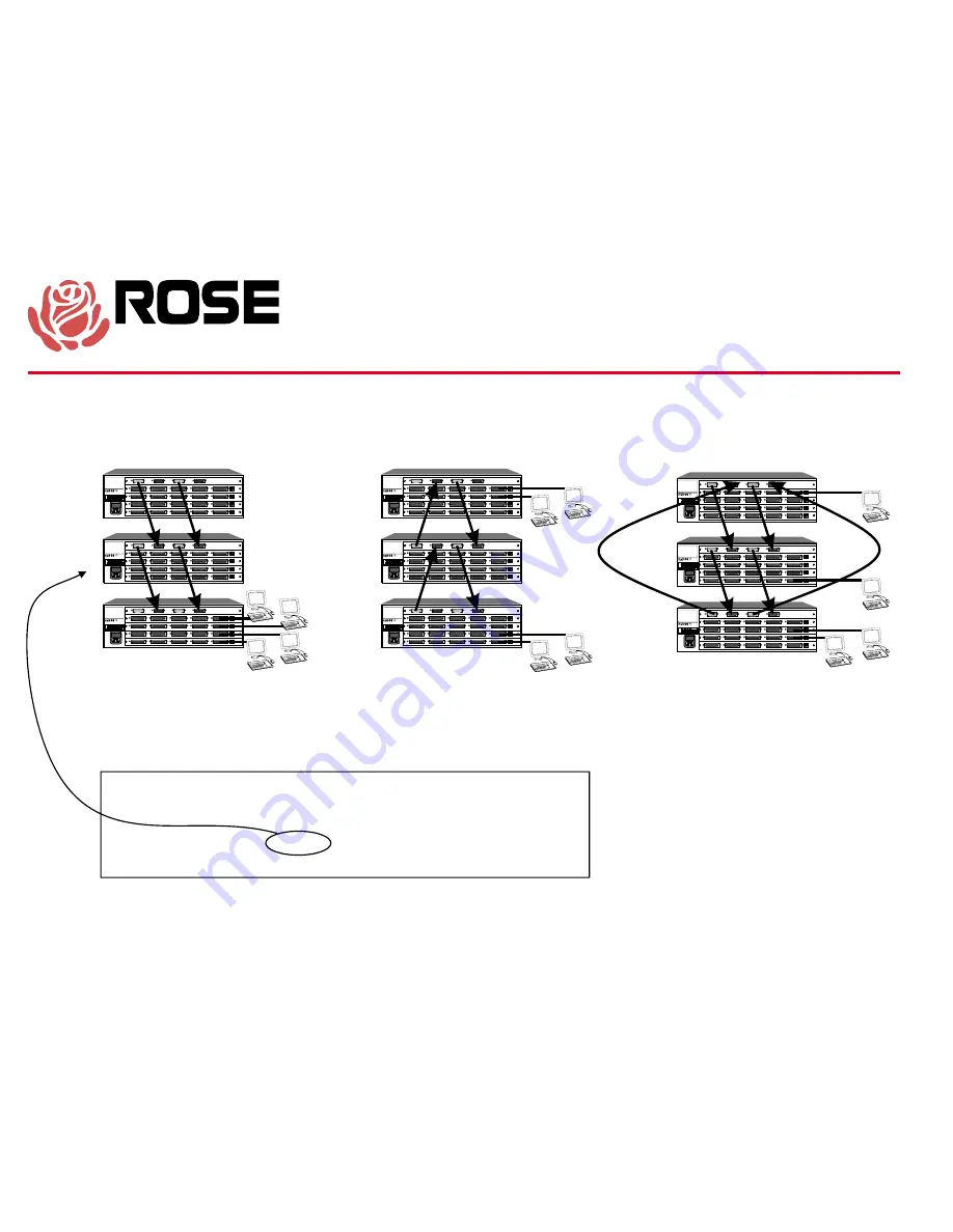 Rose electronics EE2-2X16U/E Скачать руководство пользователя страница 3