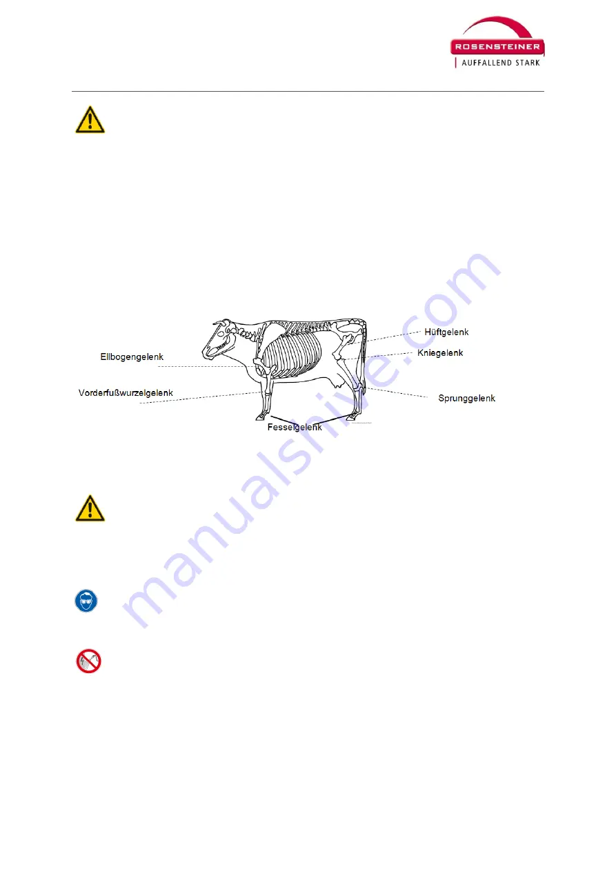 Rosensteiner Red 5 Operation And Maintenance Manual Download Page 19