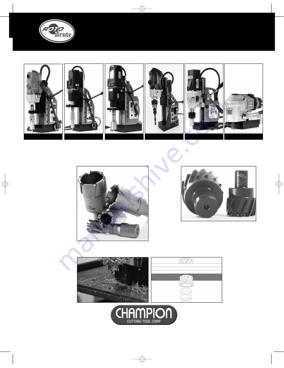 Roto Brute RB32 Champion Скачать руководство пользователя страница 6