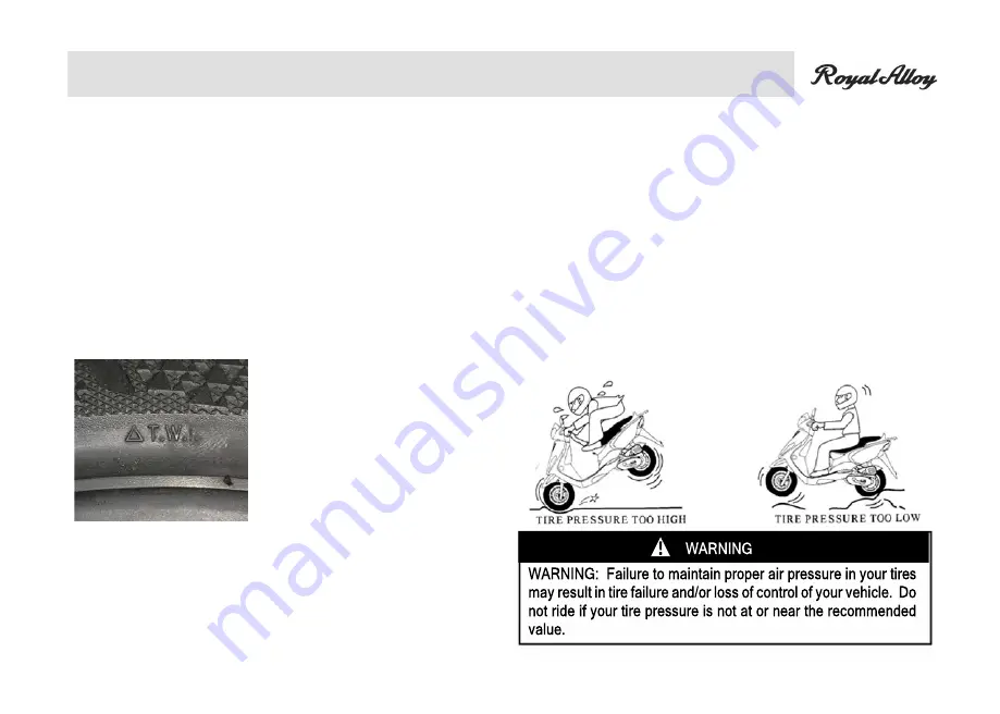 Royal Alloy GP300S Owner'S Manual Download Page 25