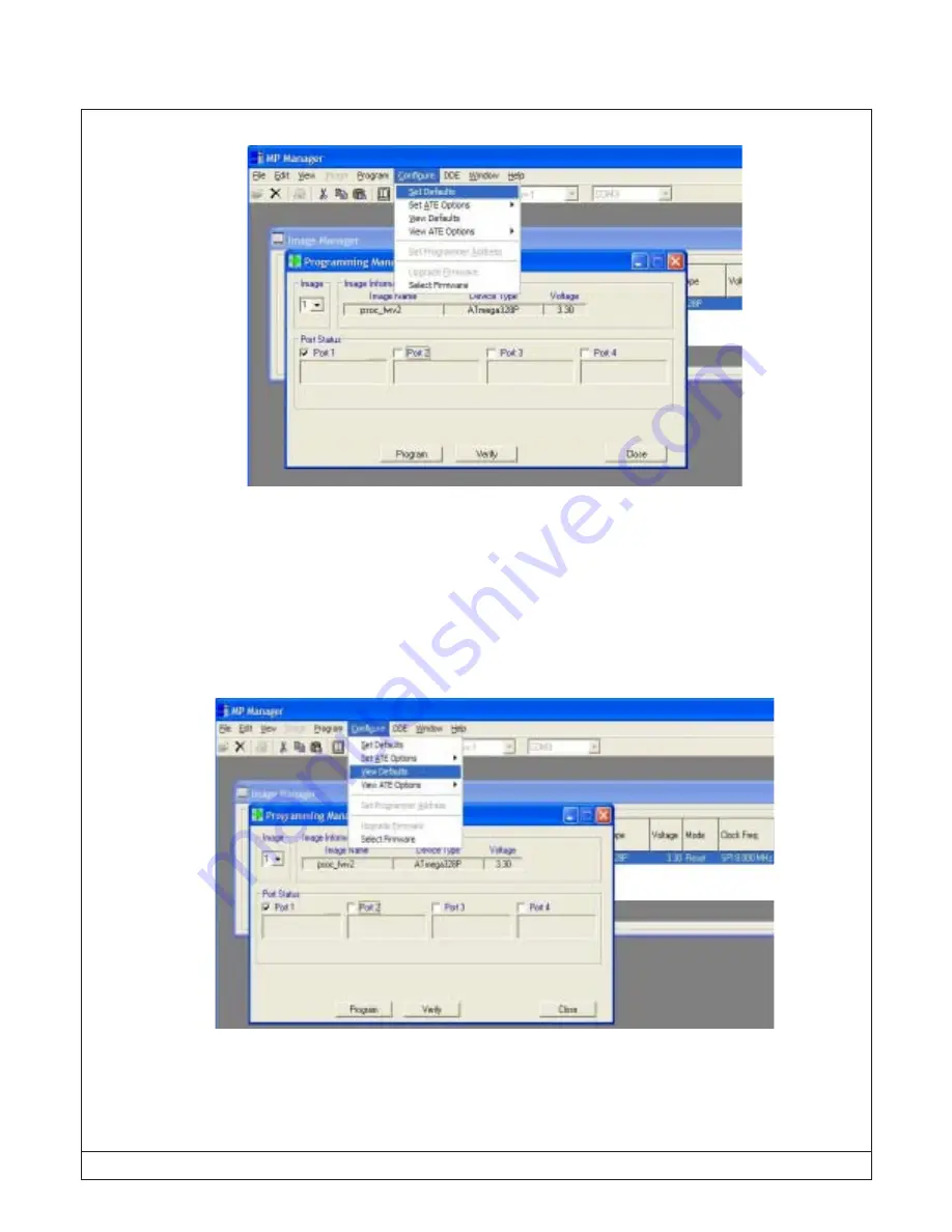 RPM MPQ Series User Manual Download Page 21