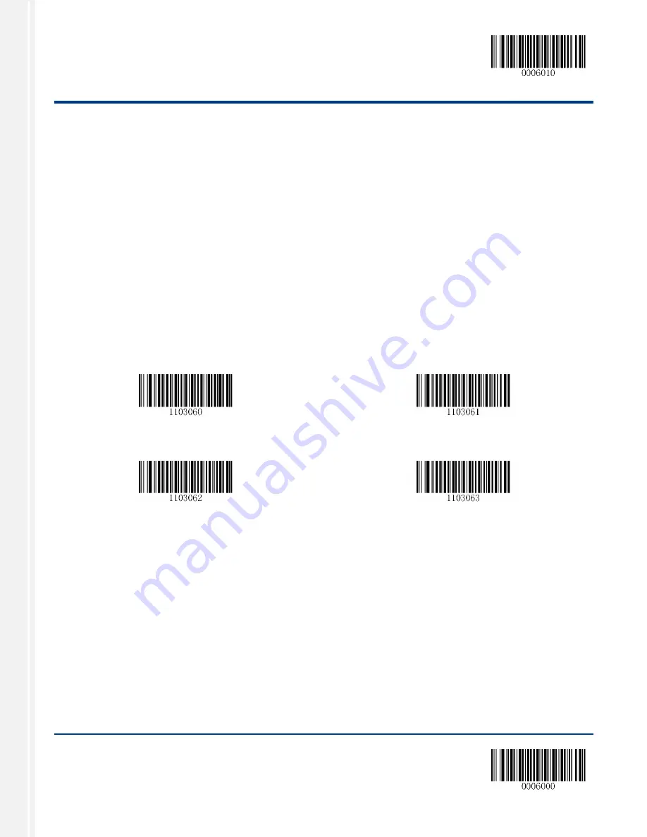 RTscan RT206 User Manual Download Page 25