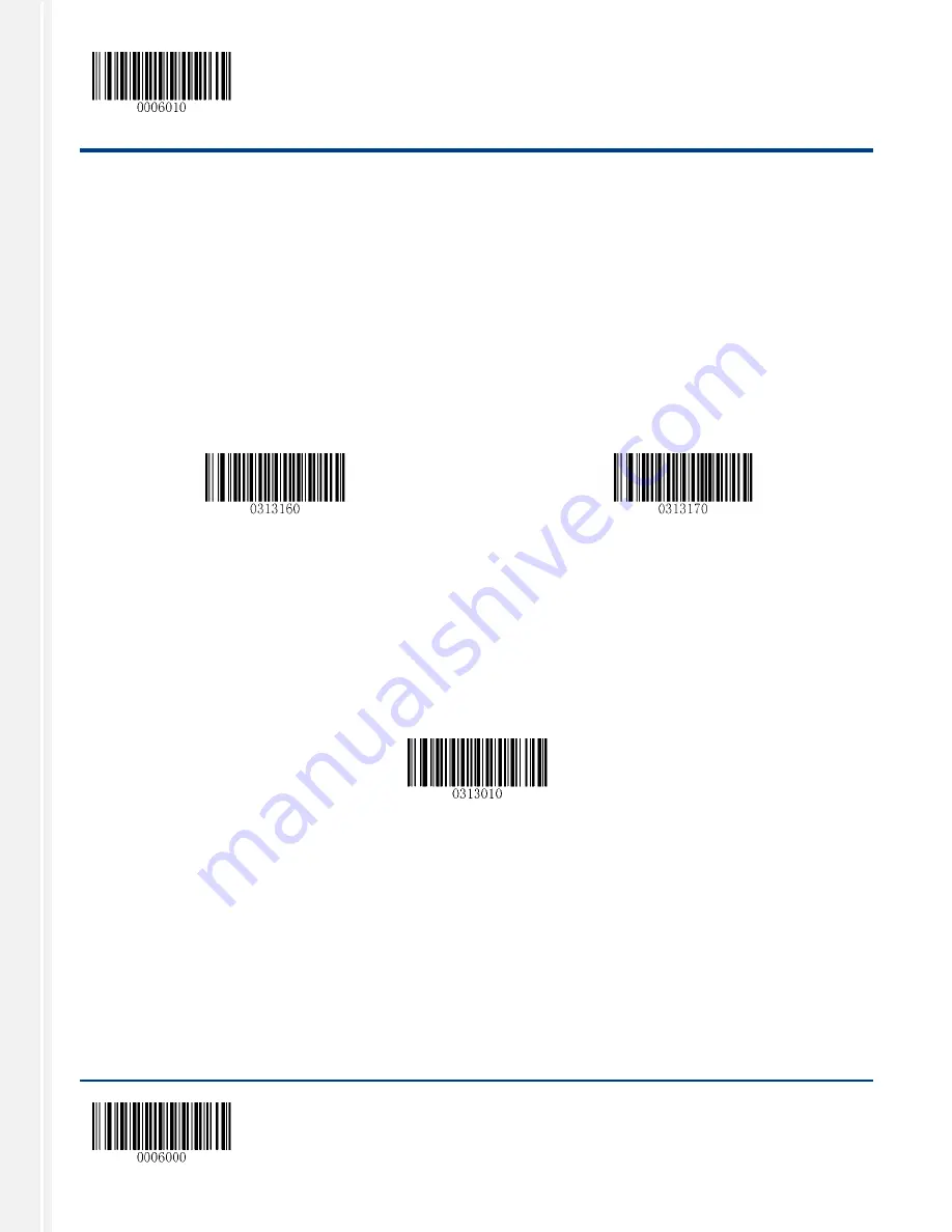 RTscan RT206 User Manual Download Page 40