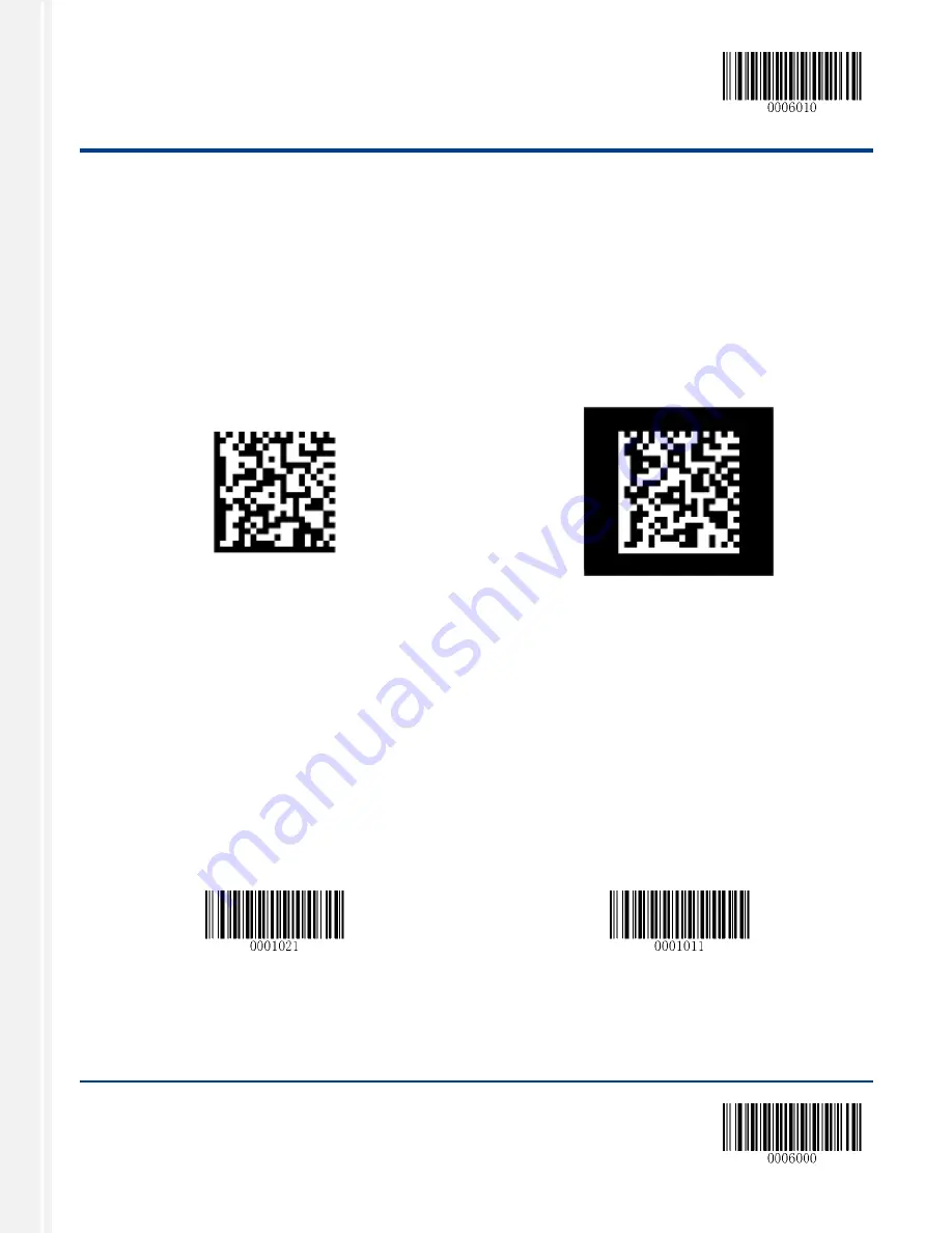 RTscan RT206 User Manual Download Page 61