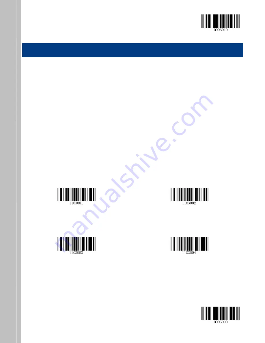 RTscan RT230H User Manual Download Page 13