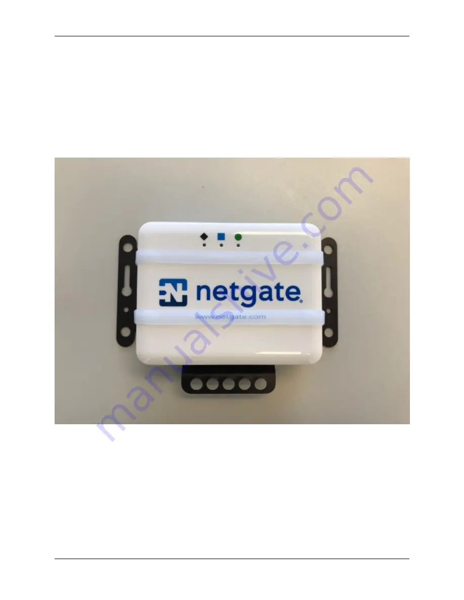 Rubicon netgate SG-1100 Manual Download Page 46