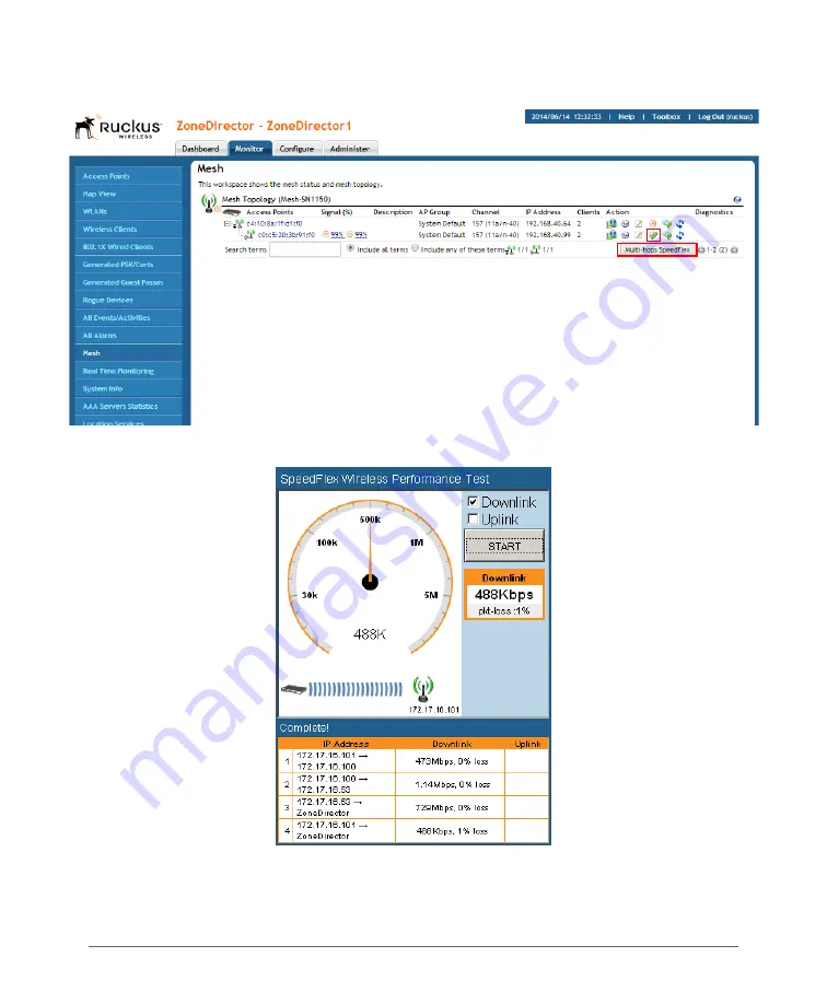 Ruckus Wireless ZoneDirector 3000 Скачать руководство пользователя страница 397