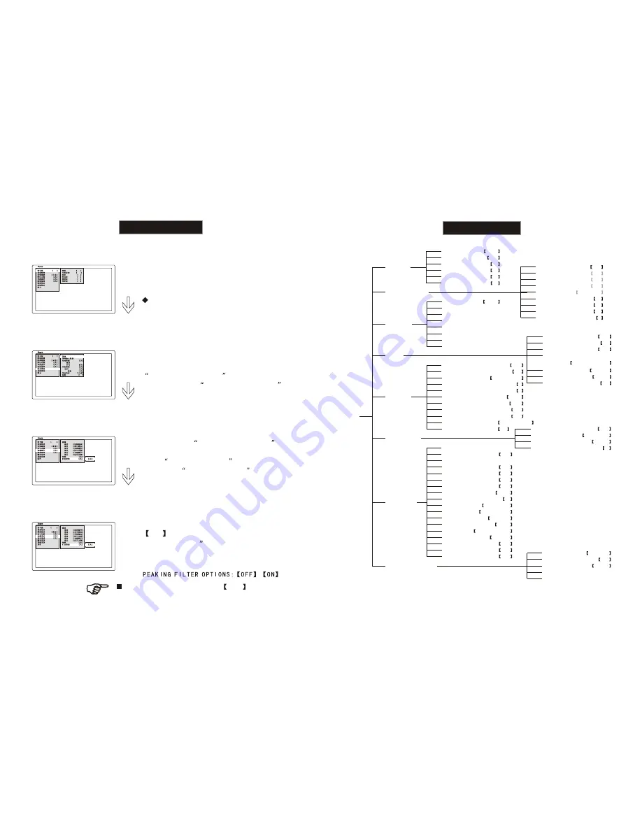 Ruige TL2000HDA-CO Product Manual Download Page 12