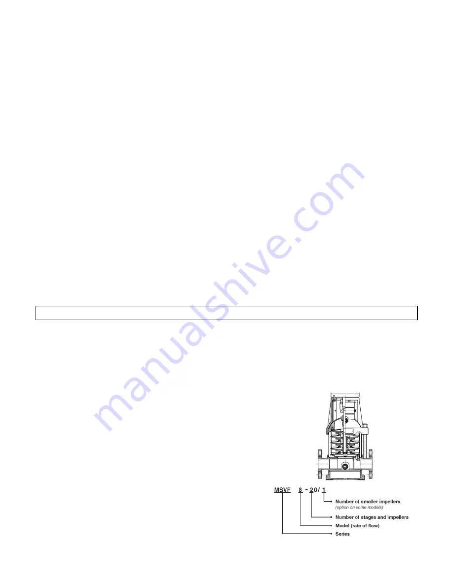 RUTHMAN RAE PUMPS MSVF 1 Скачать руководство пользователя страница 3