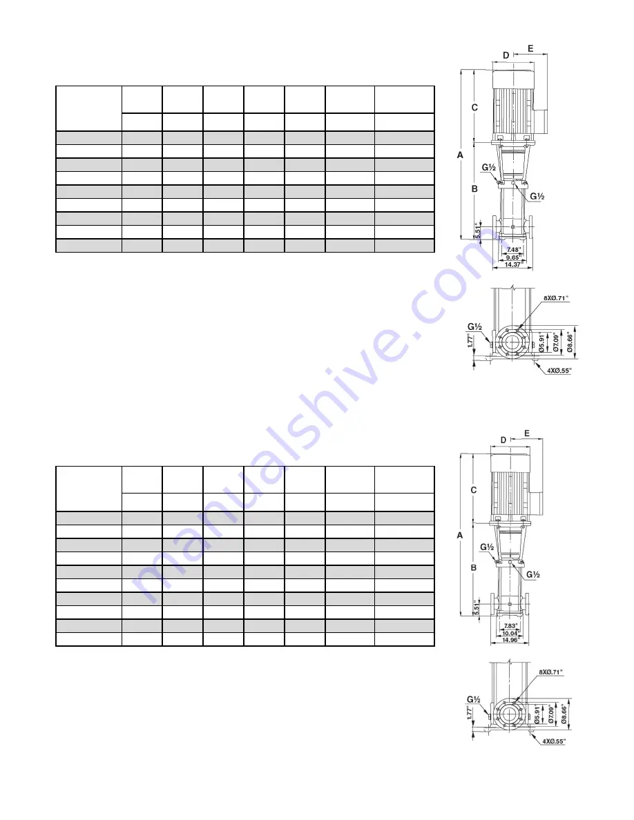 RUTHMAN RAE PUMPS MSVF 1 Installation, Operation And Maintenance Manual Download Page 13