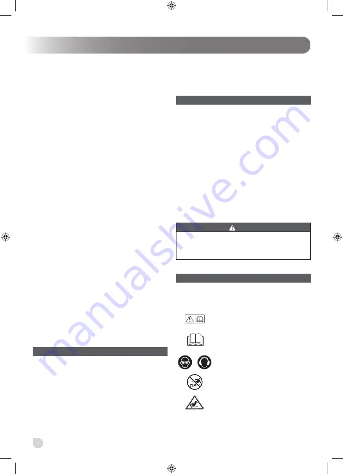 Ryobi 5133003673 Скачать руководство пользователя страница 230