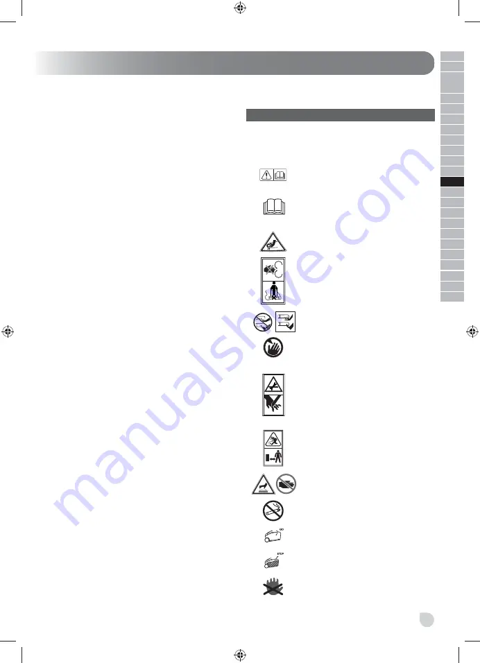 Ryobi RLM46175S Скачать руководство пользователя страница 159